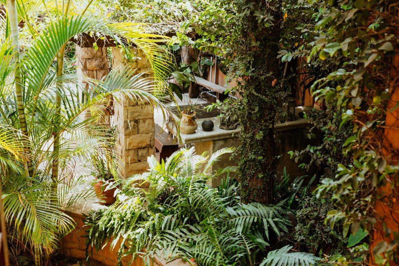 Terra Casa Guesthouse 루스텐버그 외부 사진