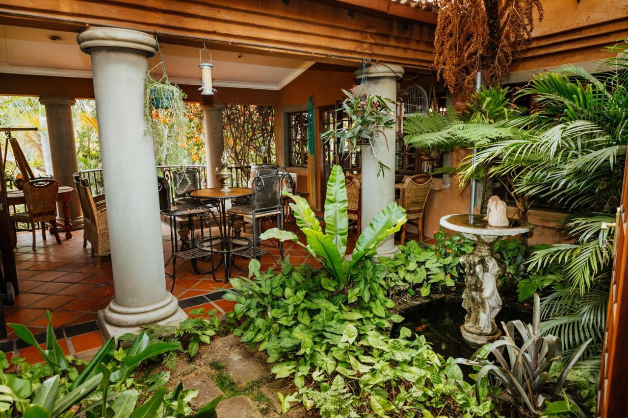 Terra Casa Guesthouse 루스텐버그 외부 사진